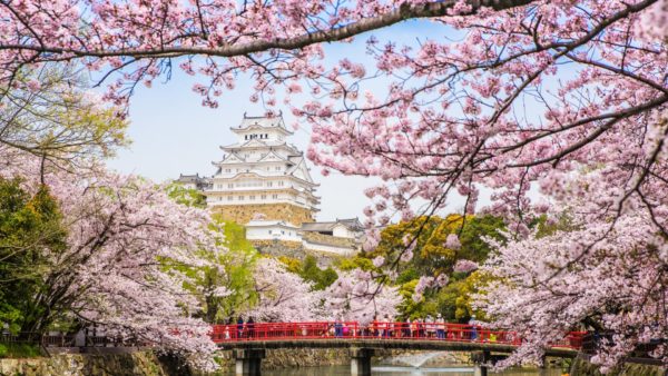 В Японию на цветение сакуры! Осака, Хиросима, Киото, Нара, Хаконе и Токио все переезды по стране в цене 125 000 RUB