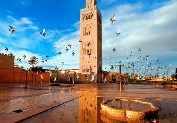 Большое экскурсионное путешествие в Марокко в январе: Марракеш, горы Атлас, берберские деревни, Рабат, Мекнес, Волубилис, знаменитый голубой город — Шефшауэн и Касабланка