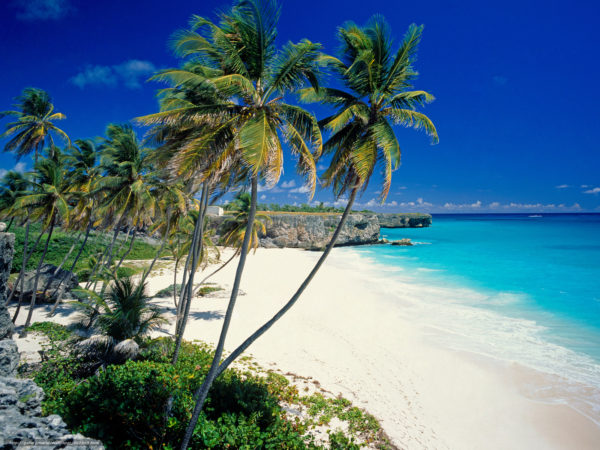 Новый год на Карибском острове Барбадос с индивидуальной поездкой на пляж с черепахами за 140 000 RUB