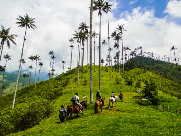 Колумбия на майские праздники: Богота, Соляной Собор, долина Кокора, кофейные плантации, Картахена + пляжный отдых на сказочном Карибском острове за 435 000 RUB