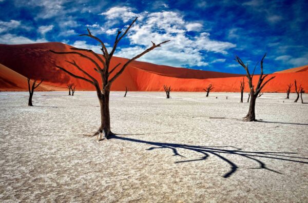 Новый год в Намибии — индивидуальное приключение за 250 000 RUB: Виндхук – пустыня Намиб — Соссусфлей — Свакопмунд — Дамараленд – Этоша