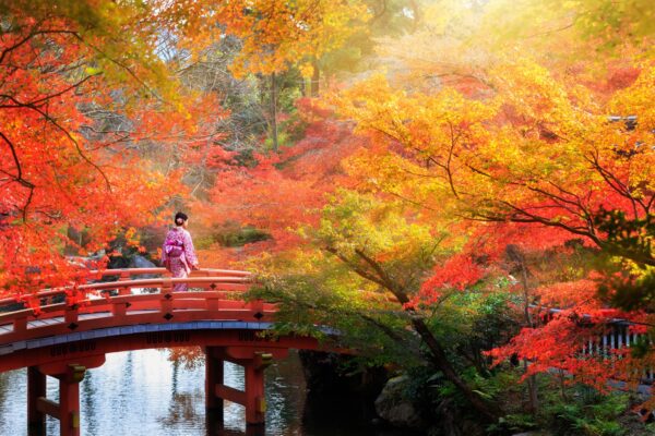 Сезон красных клёнов в Японии: Токио, Киото и Осака за 147 000 RUB в ноябре