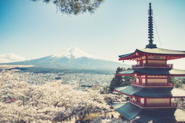 Сезон цветения сакуры в Японии: Токио, Киото и Осака с экскурсиями + 2 дня в Пекине за 192000 RUB в марте в индивидуальном путешествии